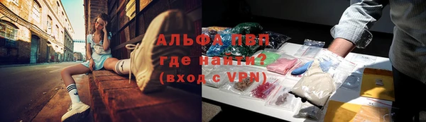 PSILOCYBIN Михайлов