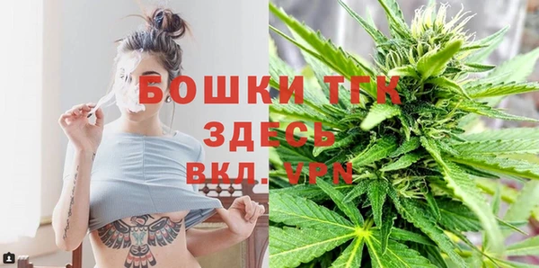 молекула духа Надым