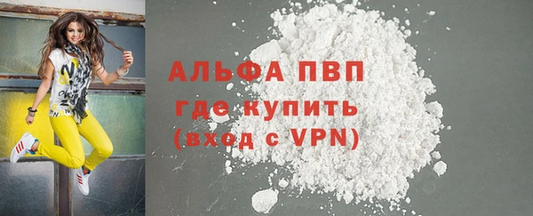 PSILOCYBIN Михайлов