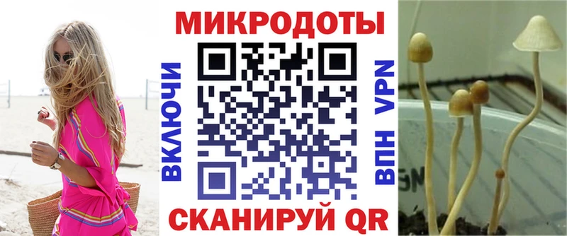 Псилоцибиновые грибы мицелий Нерехта